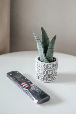 Полноценная студия с кроватью king size — sm.webp