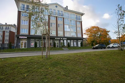  Уютная квартира в Светлогорске — sm.webp