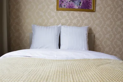 Apartament 52 — xl.webp