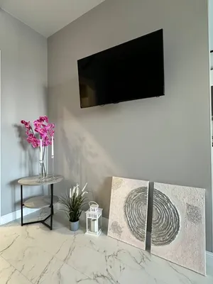 Просторная студия в центре Уфы, 55 м2 — sm.webp