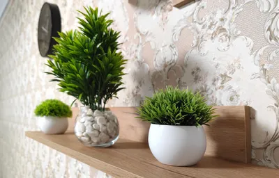 Квартира 2 комнаты, 2 кровати — sm.webp