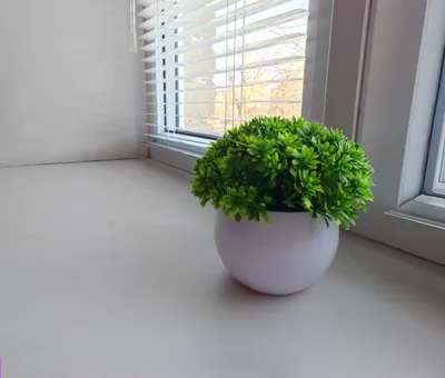 Квартира однокомнатная 1 кровать — sm.webp