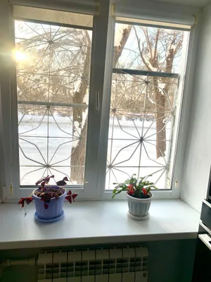 Квартира в парковой зоне — sm.webp