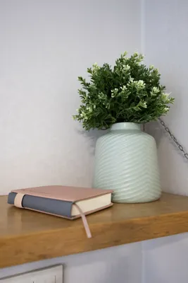 LovelyHome39 на Моцарт-штрассе — xl.webp