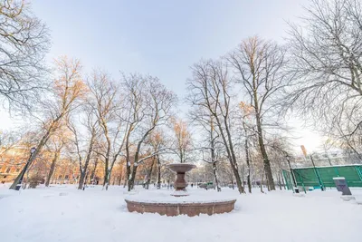 Современная квартира в центре Петербурга — sm.webp