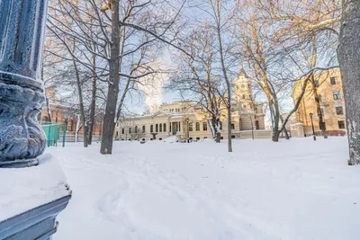 Современная квартира в центре Петербурга — sm.webp