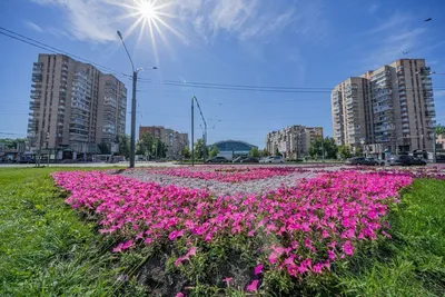 Уютная 2-х комнатная квартира рядом с метро — sm.webp