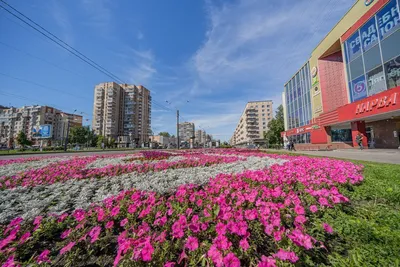 Уютная 2-х комнатная квартира рядом с метро — sm.webp
