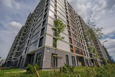 Уютная квартира в центре в новом ЖК — sm.webp