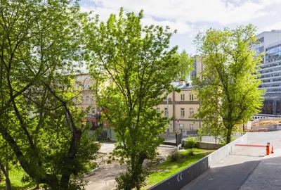 Красивая квартира около метро Курская — sm.webp