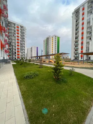 Квартира в ЖК Фрукты в Сириусе — sm.webp