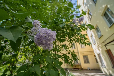 Уютная двухкомнатная квартира в центре — sm.webp