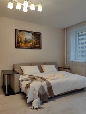 Квартира на улице Заречной, 45к1 — sm.webp