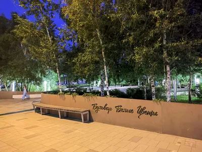 Уютная, светлая квартира рядом с ТЦ Park House  — sm.webp