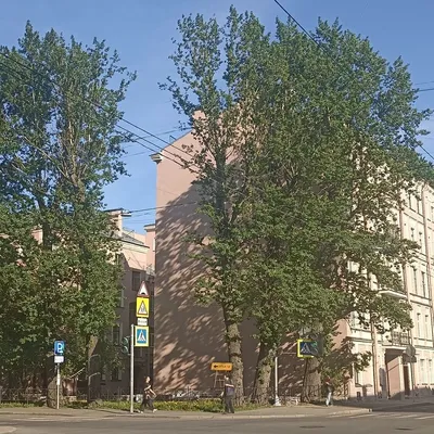 на Бронницкой 36 — sm.webp
