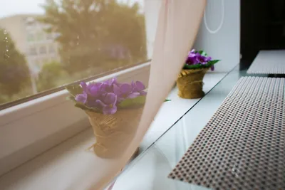 Едете отдохнуть с семьей или друзьями? — sm.webp