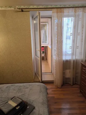 Арабика — xl.webp