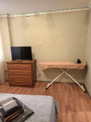 Арабика — xl.webp