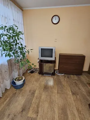 Квартира в цeнтpe нашего гopода — xl.webp