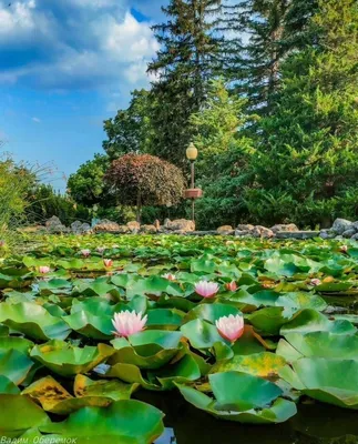 Квартира на Псекупской 54 (46) — sm.webp