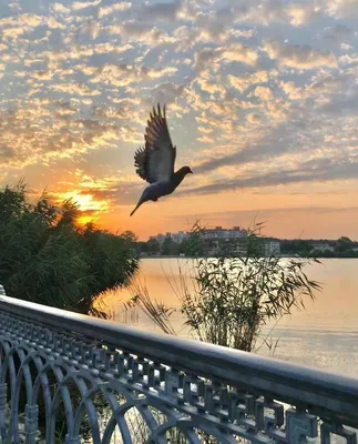 Квартира на Мира 17 (33) — sm.webp