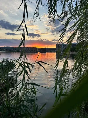 Квартира на Мира 17 (33) — sm.webp