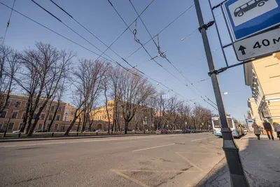 Уютна квартира в самом центре петербурга — sm.webp
