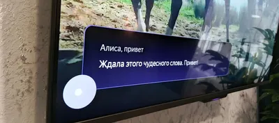 Апартаменты на Володарского 17 — xl.webp