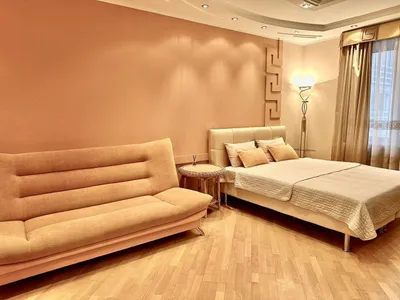 Квартира рядом с площадью Горького — xl.webp