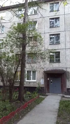 3ка Nevabed в Колпино — sm.webp