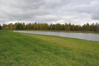 2ка Nevabed в Металлострое — sm.webp