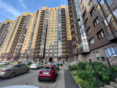 2ка Nevabed в Металлострое — sm.webp