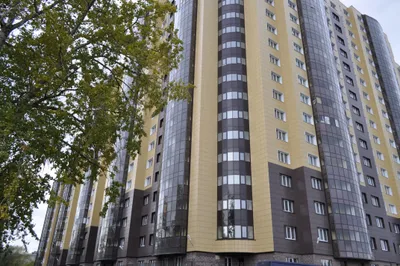 2ка Nevabed в Металлострое — sm.webp