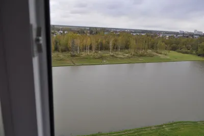 2ка Nevabed в Металлострое — sm.webp