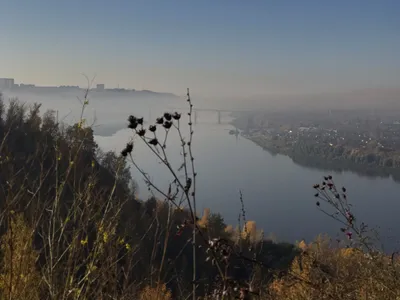 SwissPark – Студия в Swiss Park — sm.webp