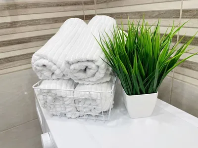 Квартира ceти AWhite — sm.webp