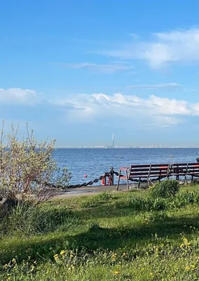 на Дивеевской 1Л — sm.webp