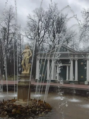 на Дивеевской 1Л — sm.webp