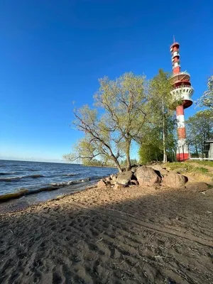 на Дивеевской 1Л — sm.webp