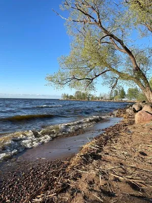 на Дивеевской 1Л — sm.webp