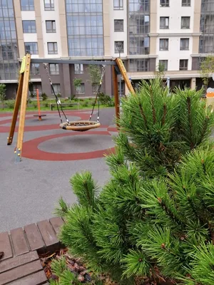 Квартира - студия рядом с метро — sm.webp