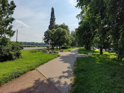 Уютная квартира "СЦК, Приморское 316" — sm.webp
