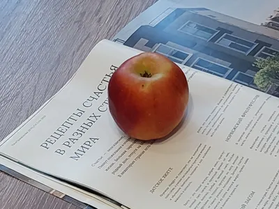 Квартира с видом на город — sm.webp