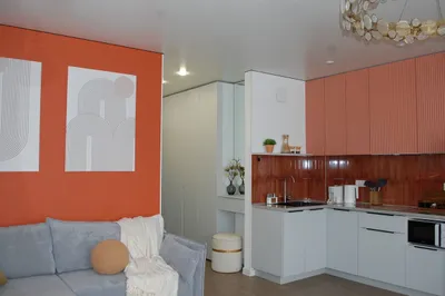 Квартира-студия 41м2, 2 кровати — sm.webp