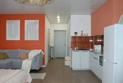 Квартира-студия 41м2, 2 кровати — sm.webp