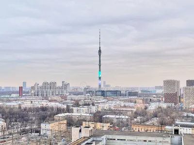 Гостим тут - Апартамент City Vibe в ЖК бизнес-класса D1 — sm.webp