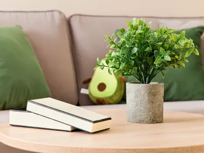 Уютная квартира-студия  — sm.webp