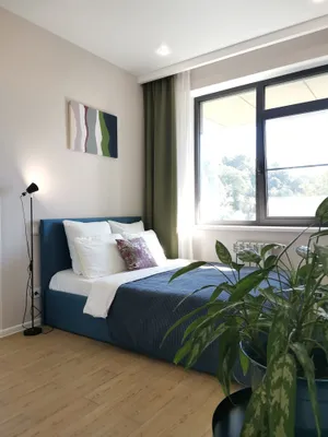 Dendrarium flat с бассейном на крыше — xl.webp