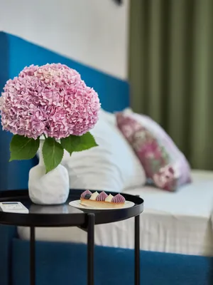Dendrarium flat с бассейном на крыше — sm.webp