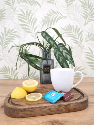Dendrarium flat с бассейном на крыше — sm.webp